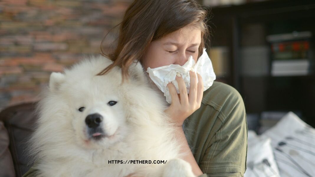 Immunotherapy for dog Allergies